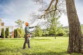 Best Tree Disease Treatment  in Cornelia, GA